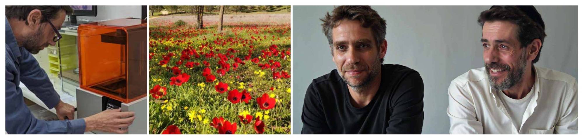 ערן וחגי שדה של כלניות ומדפסת בעבודה